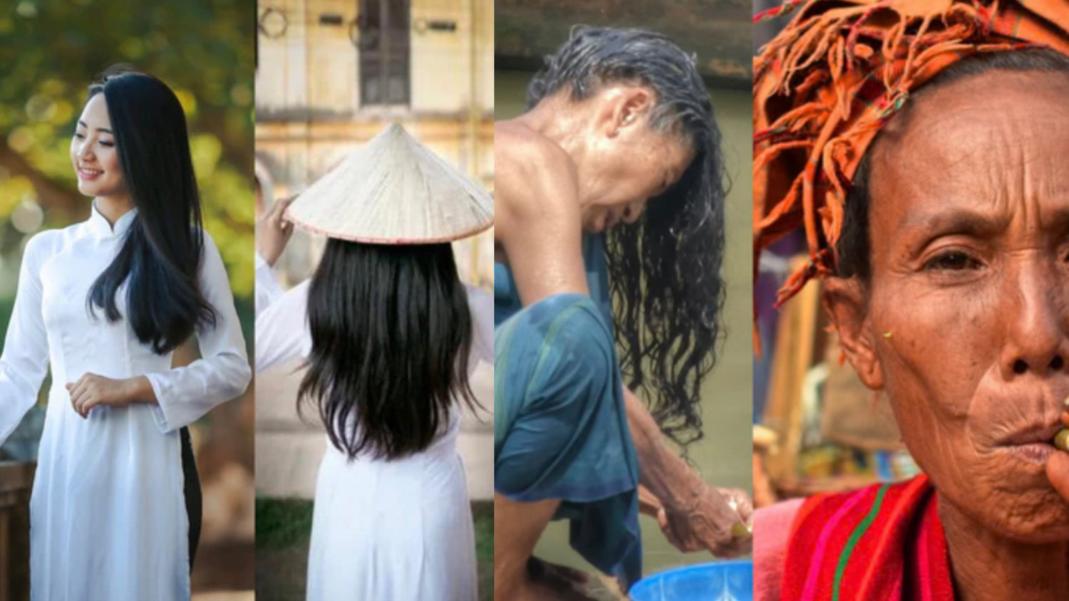 Cheveux Birmans ? Vientamiens ? Cambodgiens ?