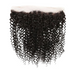 Raw Hair Lace HD Frontal Burmese Kinky Curl