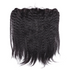 Raw Hair Lace HD Frontal Burmese Kinky Straight
