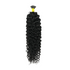 I-Tip Raw Hair Burmese Curl