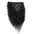Extensions à clip Raw Hair Burmese Curl